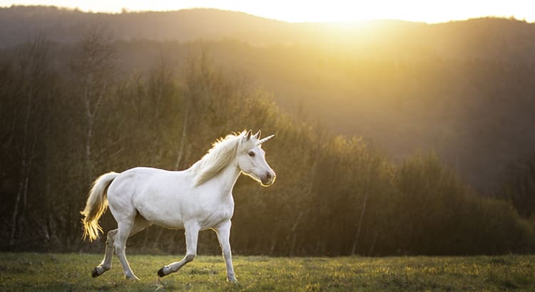 Today’s Real Estate Market: The ‘Unicorns’ Have Galloped Off