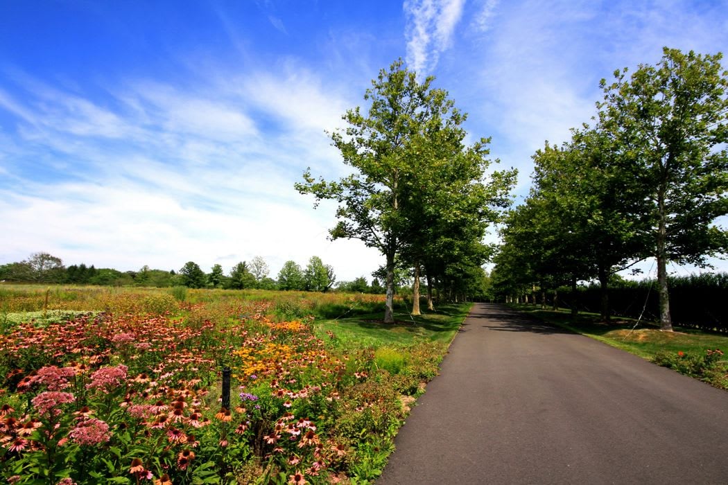 New Estate - New Build, Olde Towne Lane