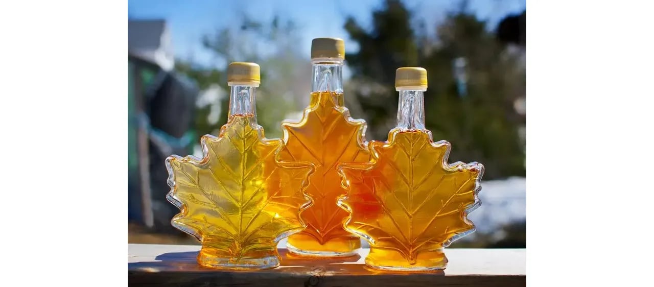 A Sweet Sign of Spring: Maine Maple Sunday Weekend