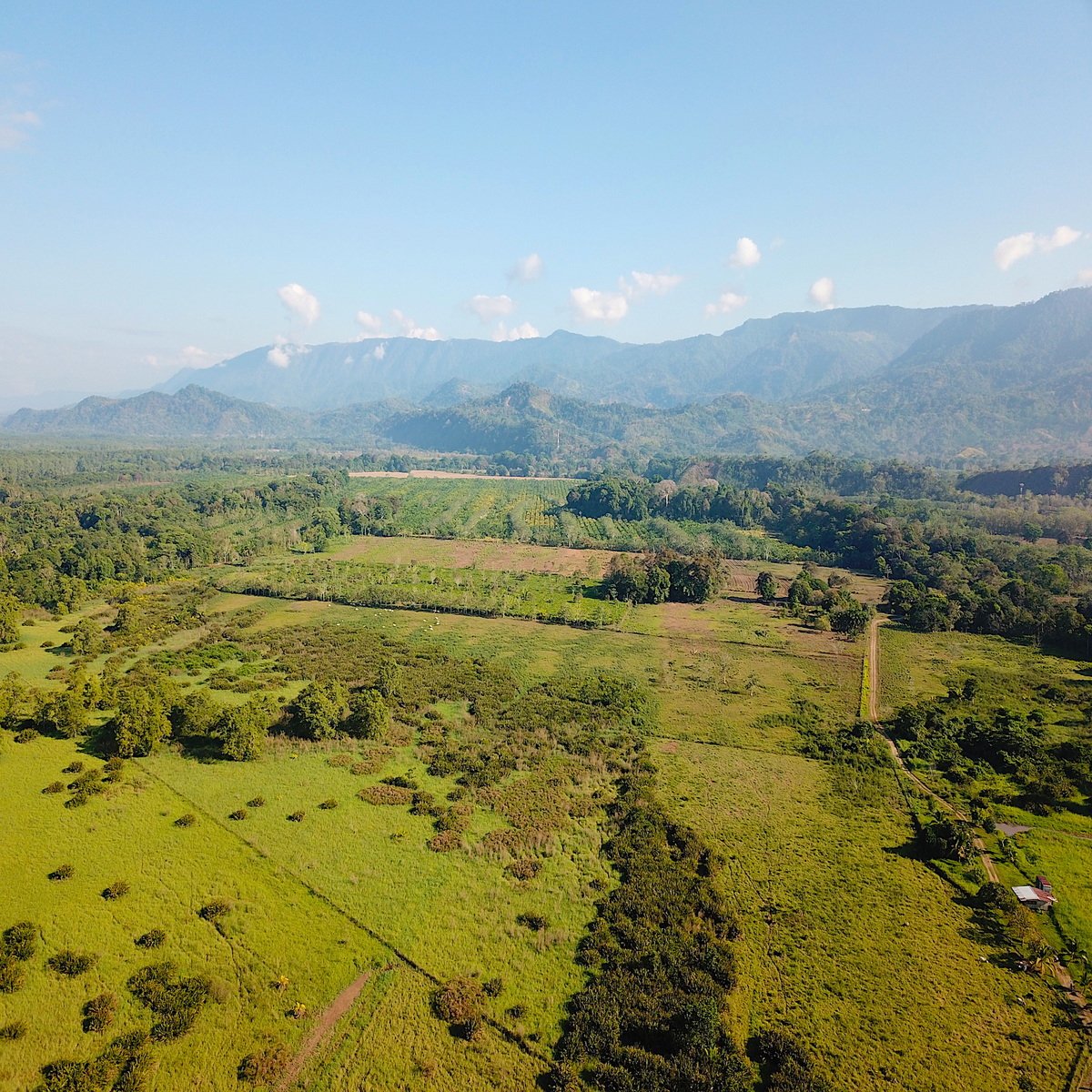 Flat Commercial Development Land, Dominical, Puntarenas
