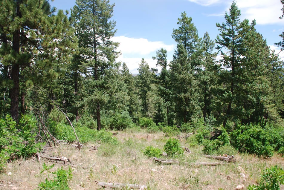 Elk Mountain Ranch