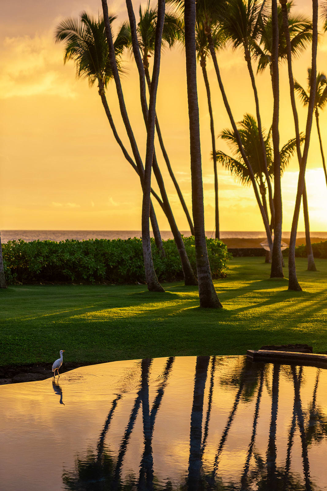 Royal Lanihau Estate