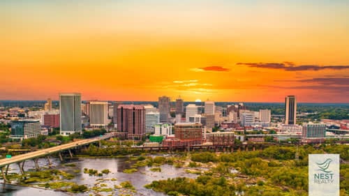 Nesty Zoom Backgrounds