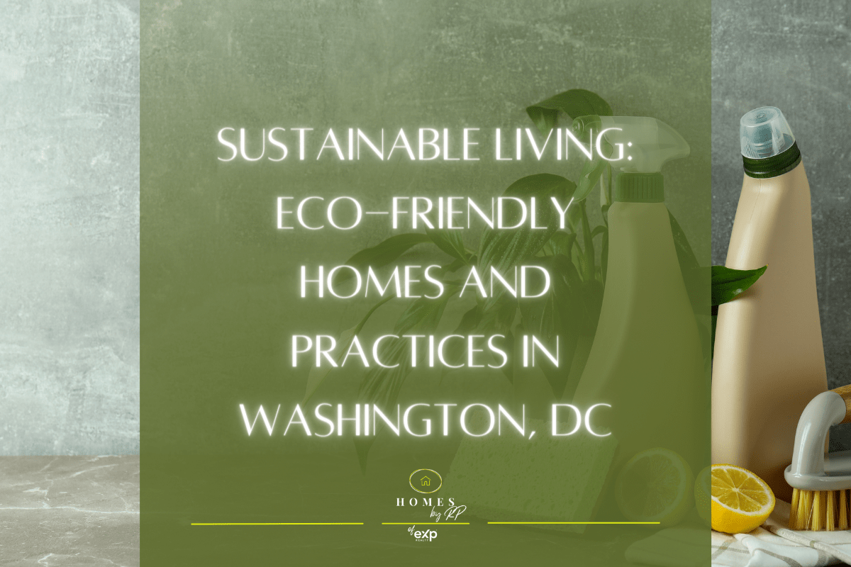 Sustainable Living: Eco-Friendly Homes and Practices in Washington, DC