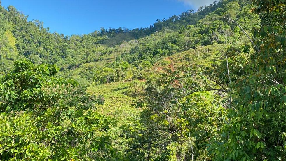 238 ACRE OCEAN VIEW PROPERTY IN PORTALON WITH WATERFALL