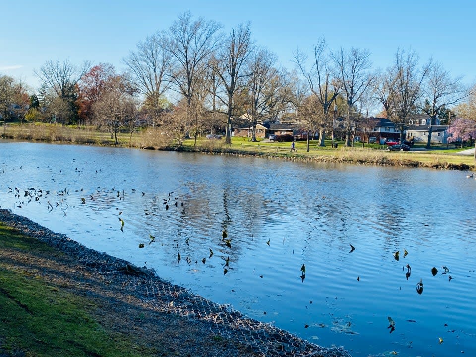 Oaklyn, NJ