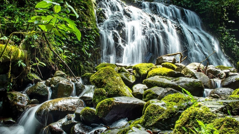 Waterfall Farm Estate, Perez Zeledon, San Jose