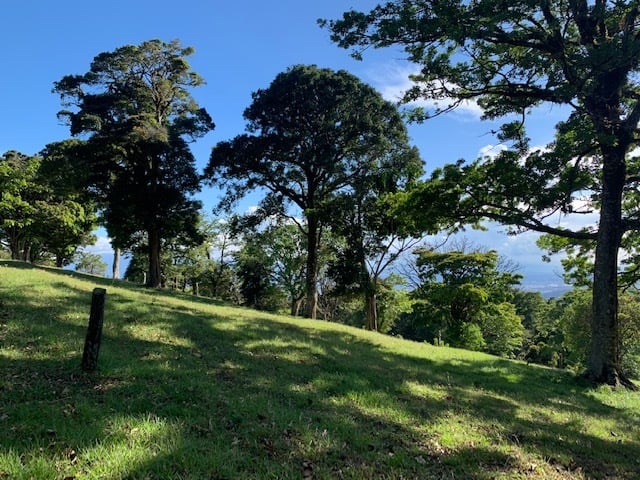 Vast Mountain Farm Acreage, Heredia