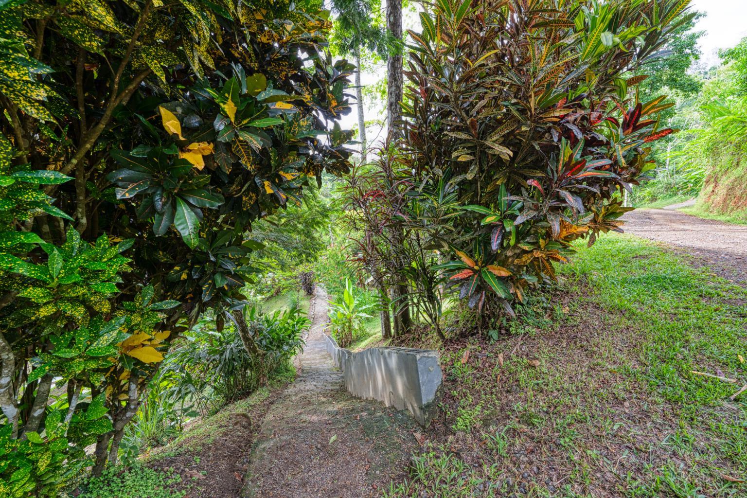 Exceptional Retreat Center on 62 Acre in Tinamastes