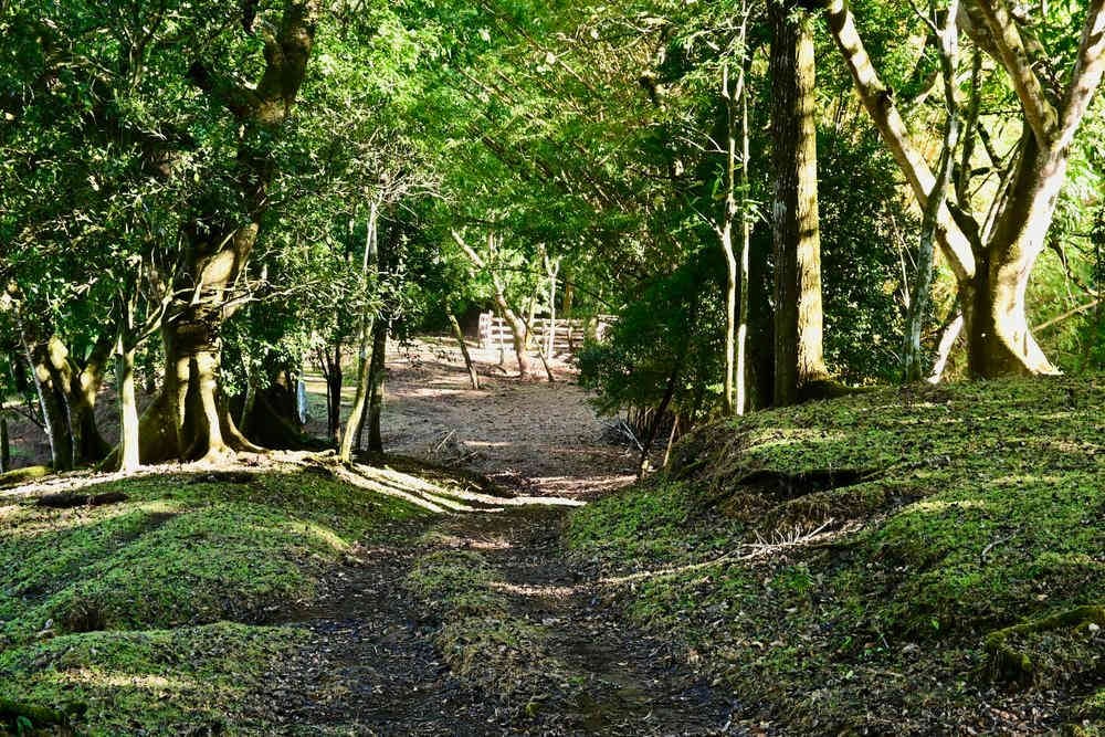 Natureza Viva