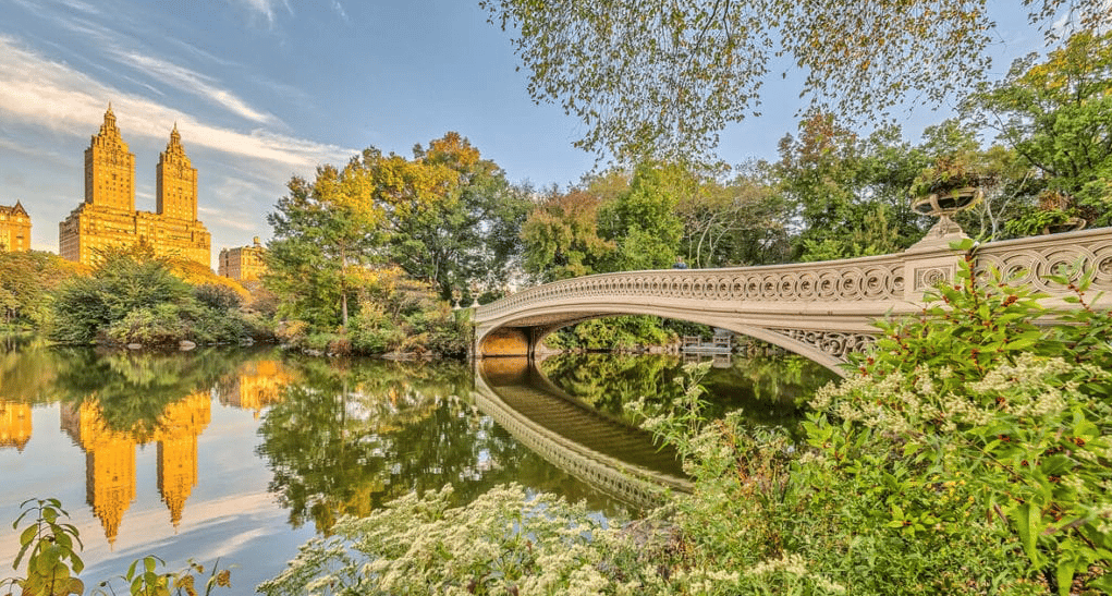 The Market Report - June 2019