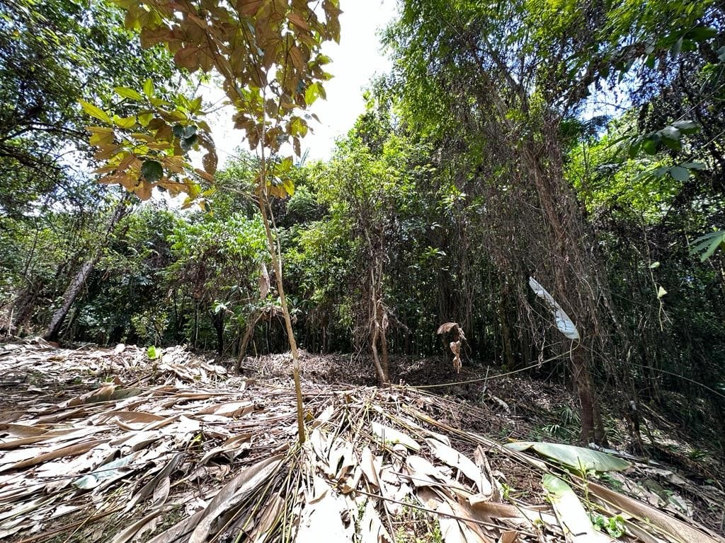 0.53 Acre Lot Located In the Exclusive Community of Puesta del Sol (Phase 10 - Lot #J10) Ojochal 