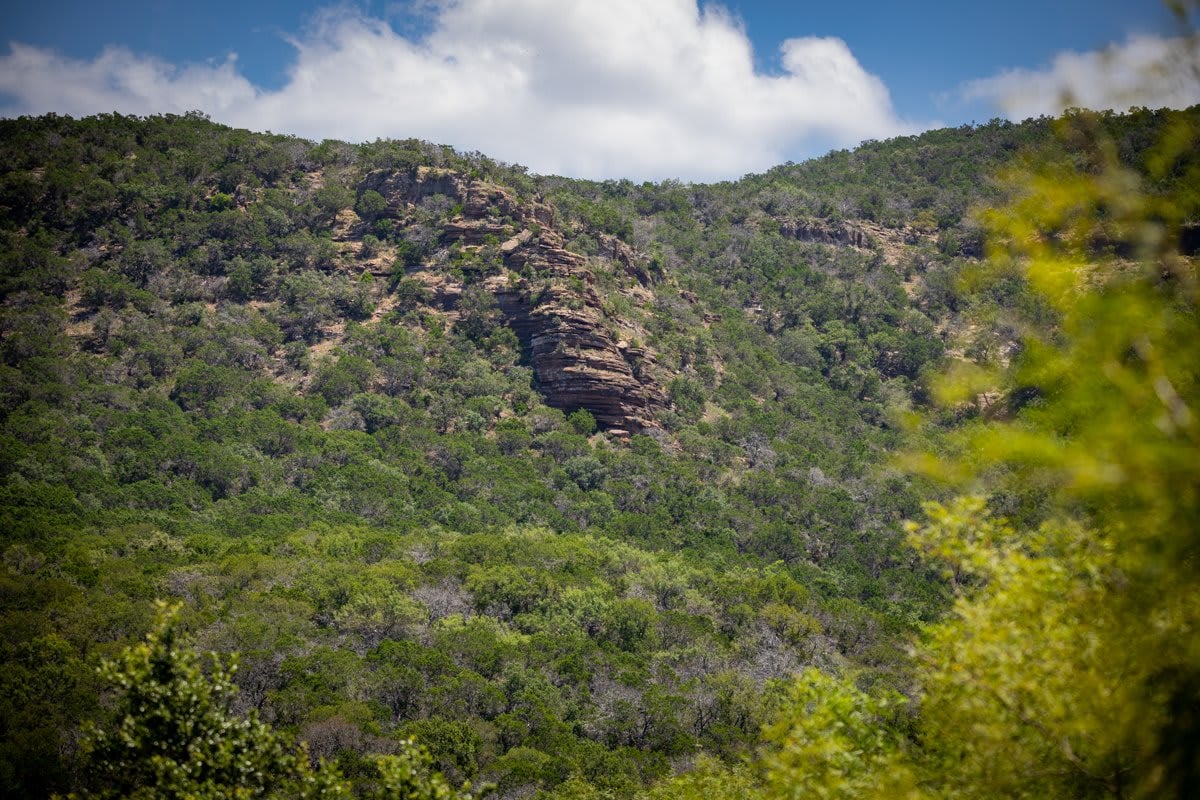 Packsaddle Ranch