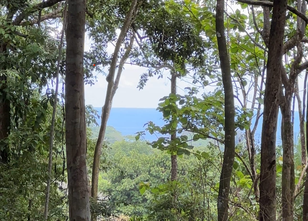 Tranquil Oasis: 8.8 Acres of Pristine Paradise in Dominicalito, Costa Rica
