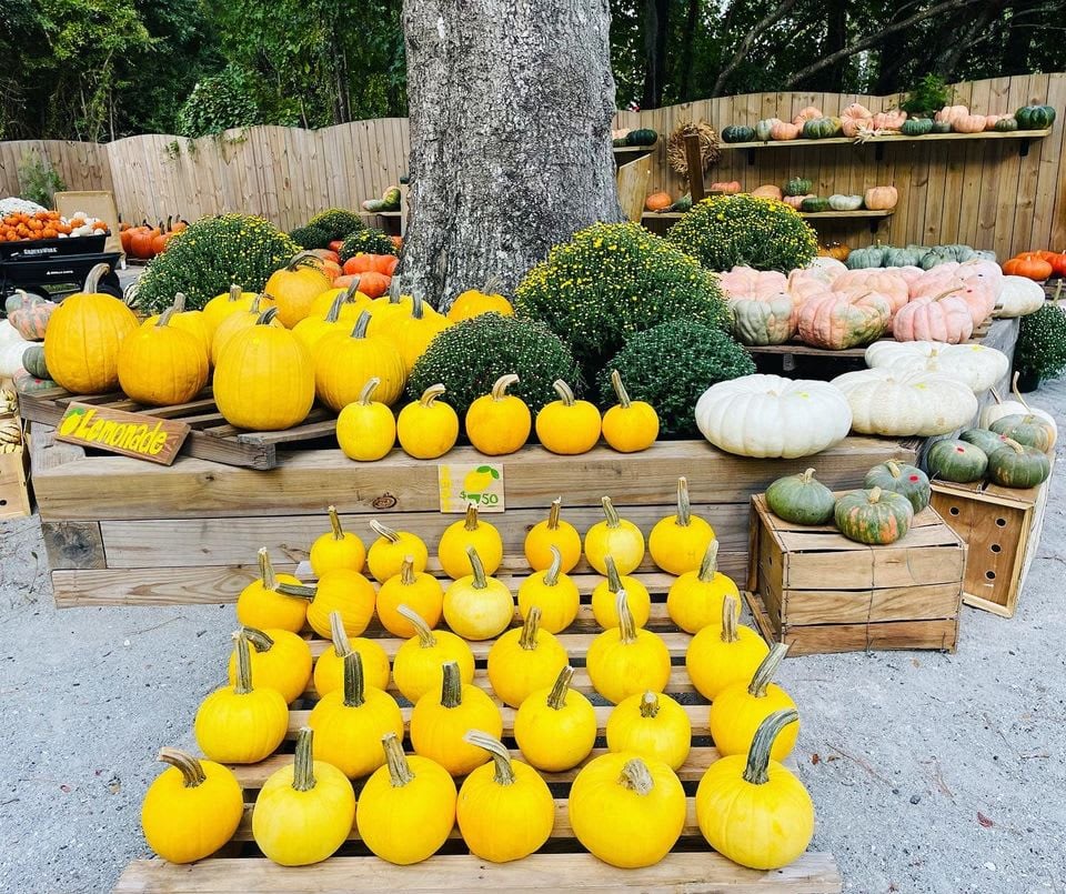 October in Pawleys Island: Embracing the Best of Lowcountry Living