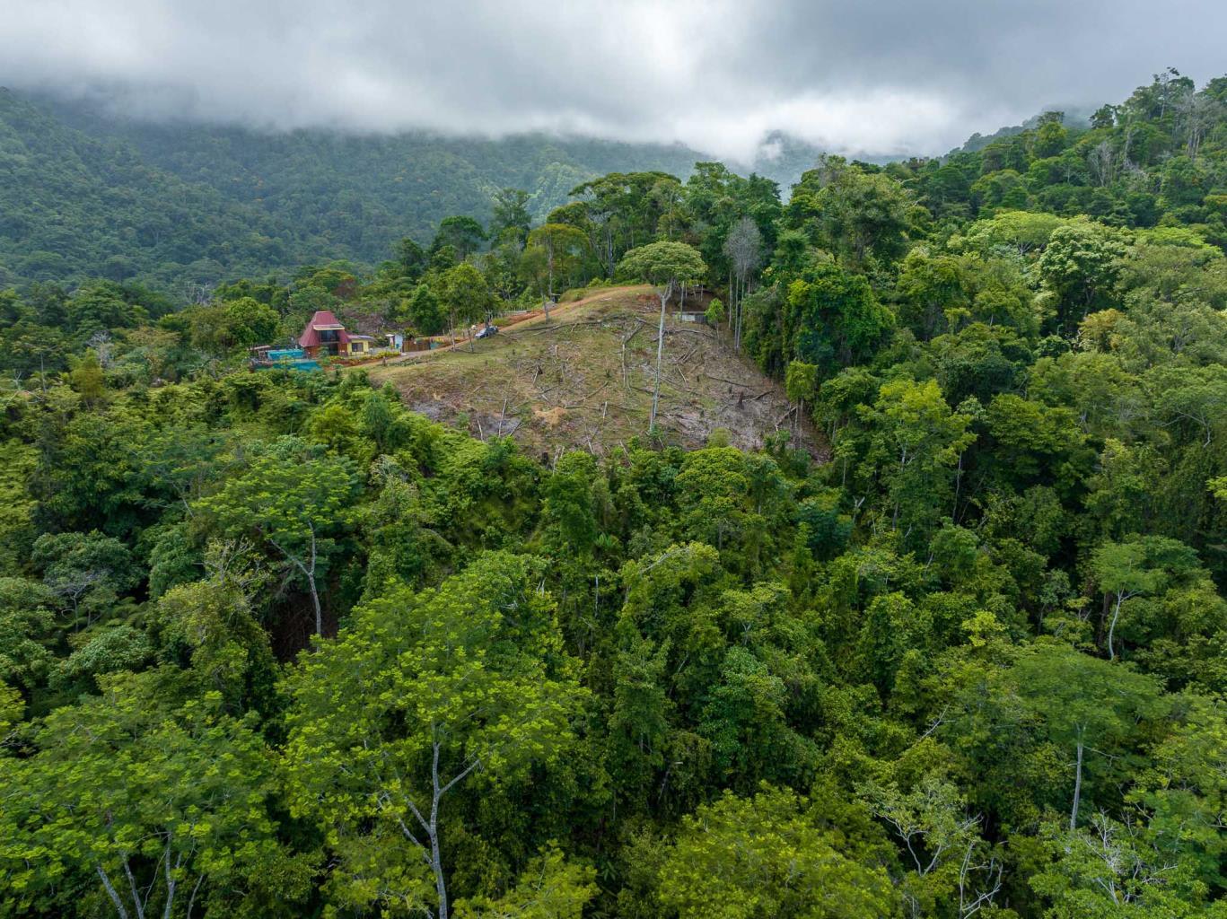 Rare Opportunity: Pristine 16-Acre Oceanview Sanctuary for Exclusive Development in Uvita