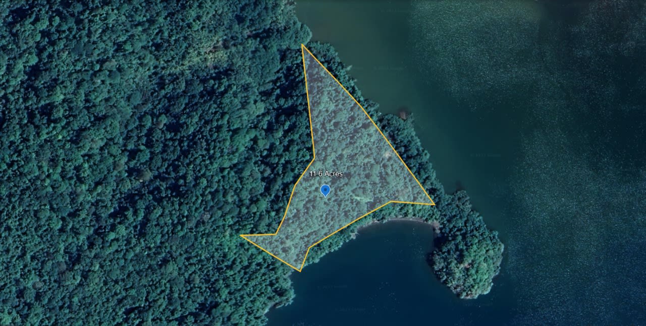 11.6 Acres Waterfront Los Mogos Gulfo Dulce