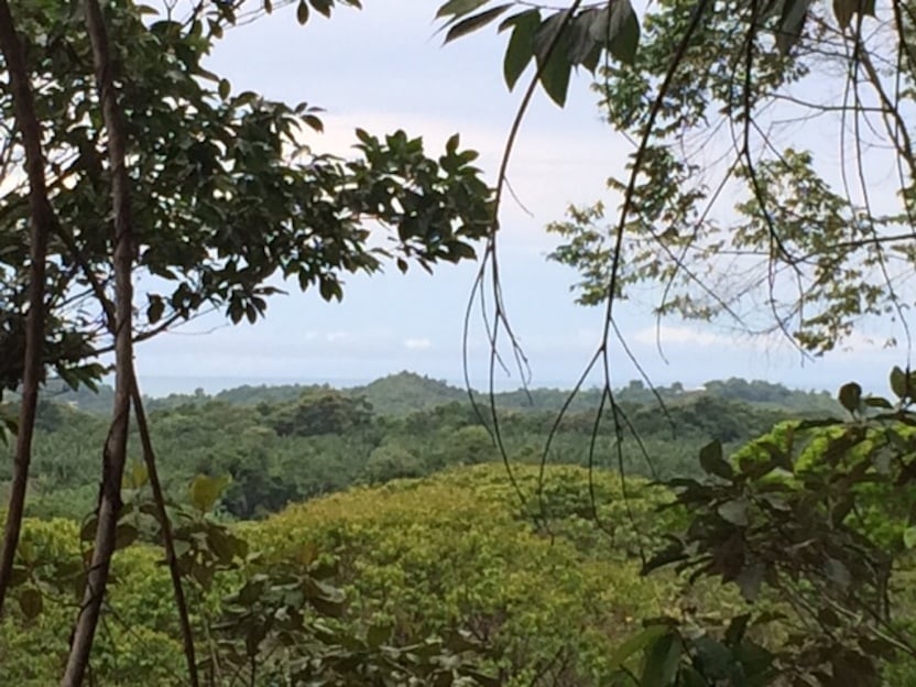 Prime Scenic Development Land, Manuel Antonio, Puntarenas