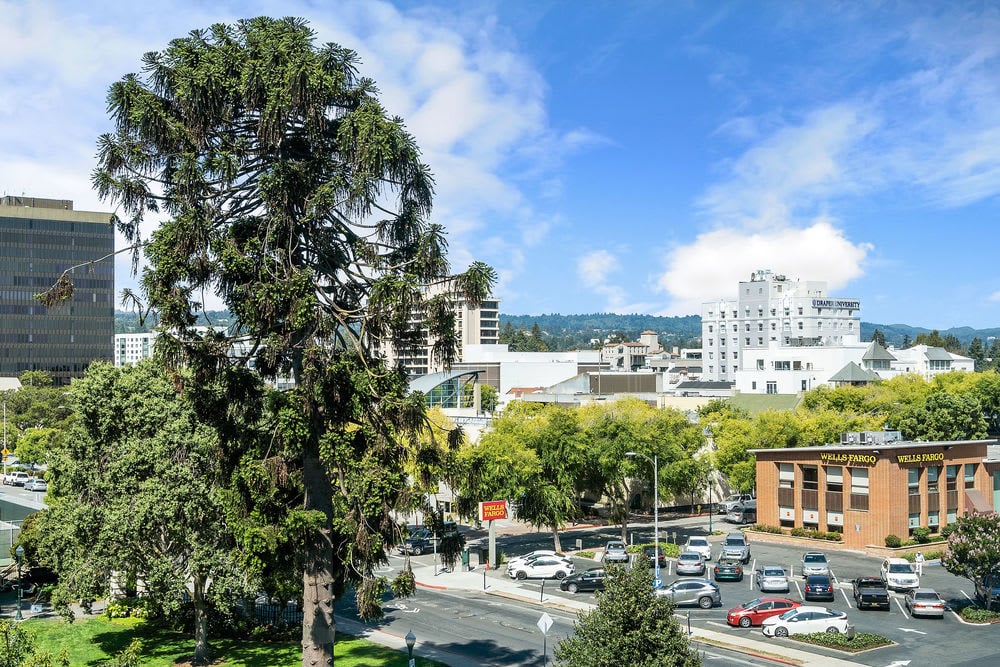 555 Laurel Ave #513