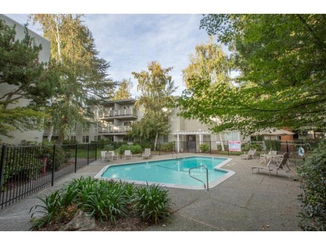 181 Del Medio Ave APT 111 Mountain View, CA, 94040