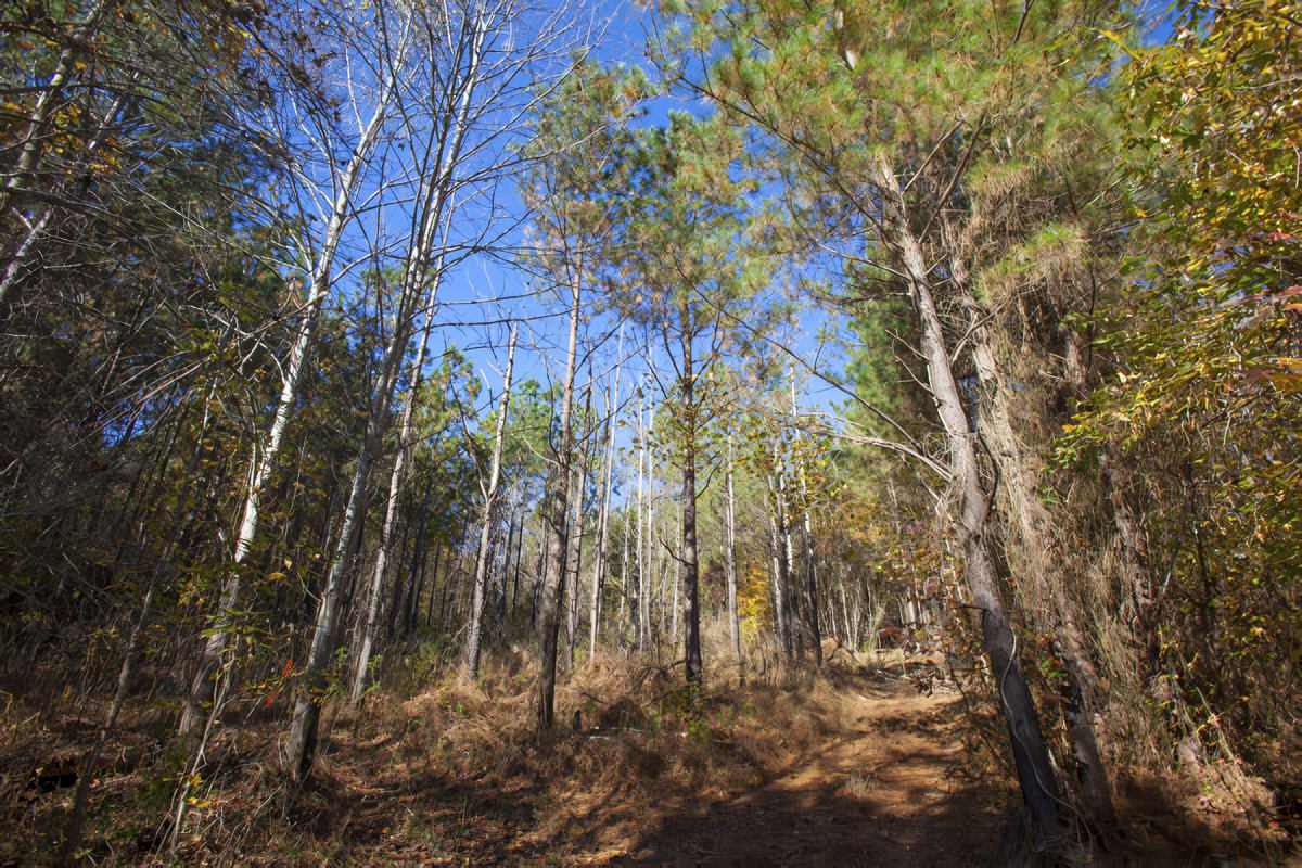 Franklin County NC Land for Sale