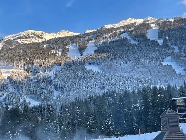 502/504-4050 Whistler Wy