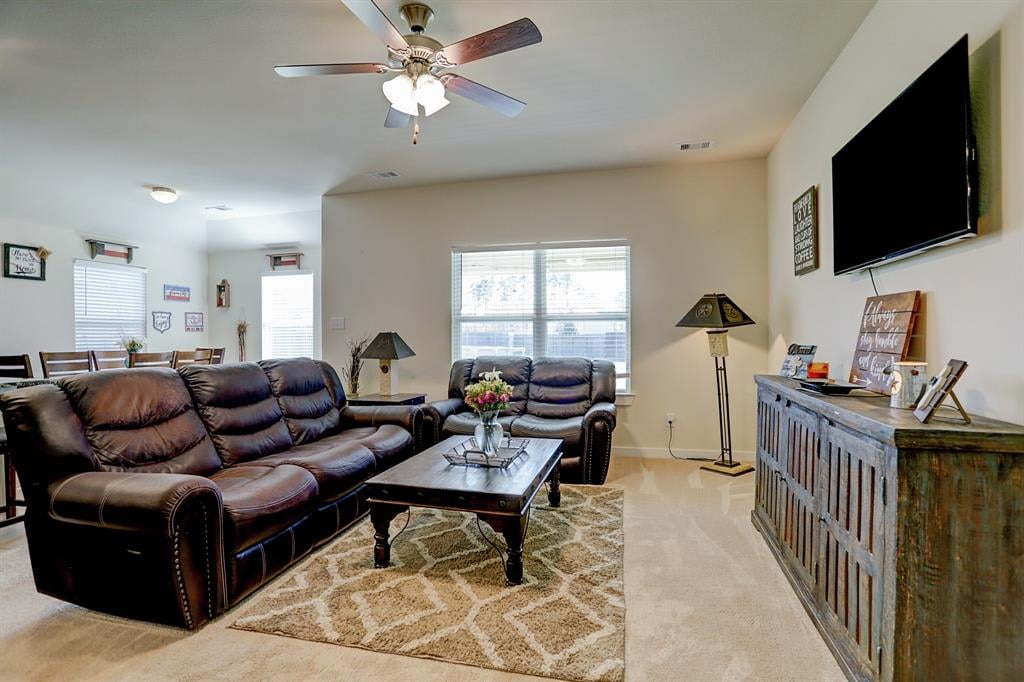 40405 MOSTYN LAKE DRIVE