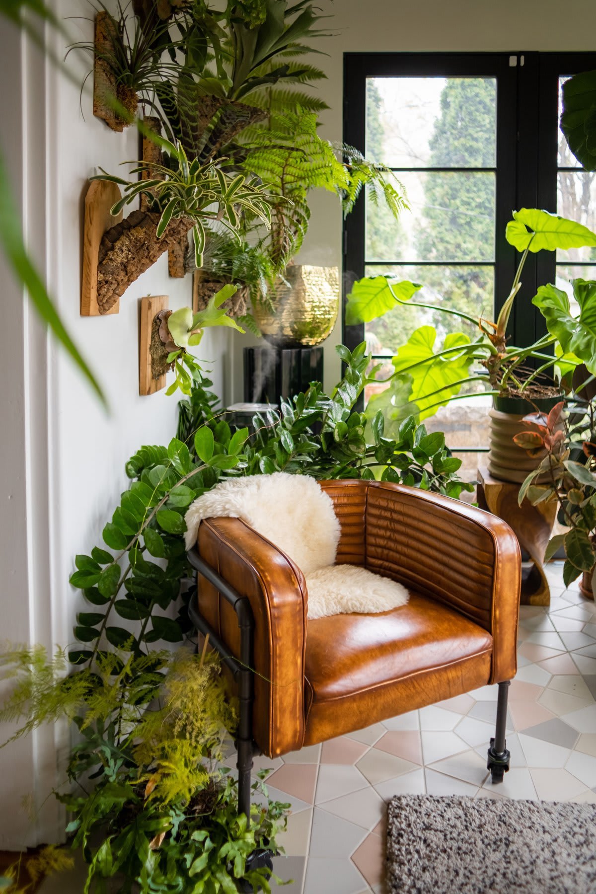 Q & A with House Plant Expert Hilton Carter