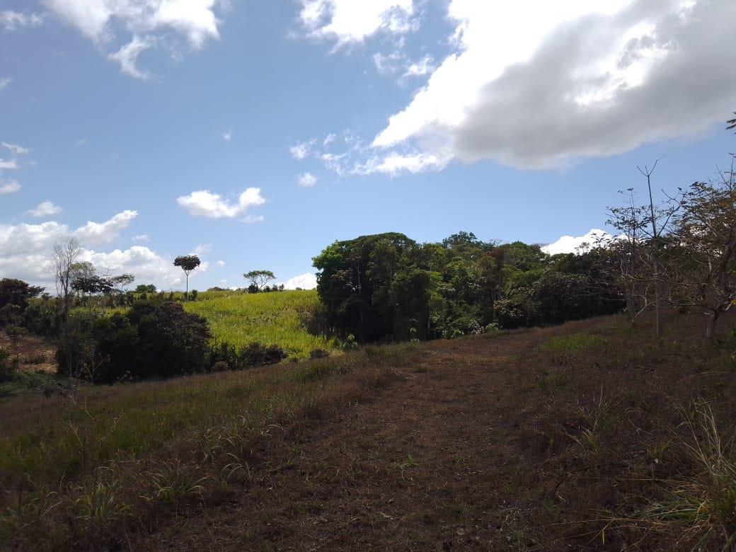 Mountain Fruit Farm Lagoon, Perez Zeledon, San Jose