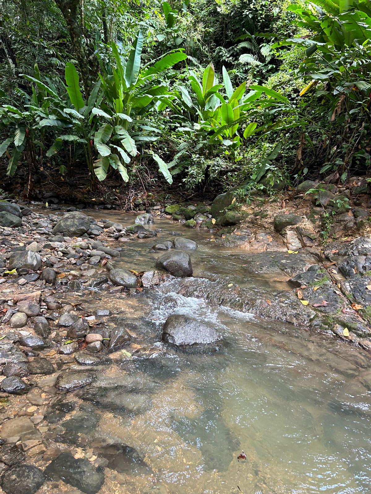 River frontage lot in desirable neighborhood in Uvita