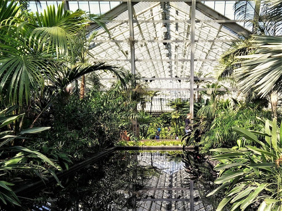 5 warm places to visit in Chicago this winter