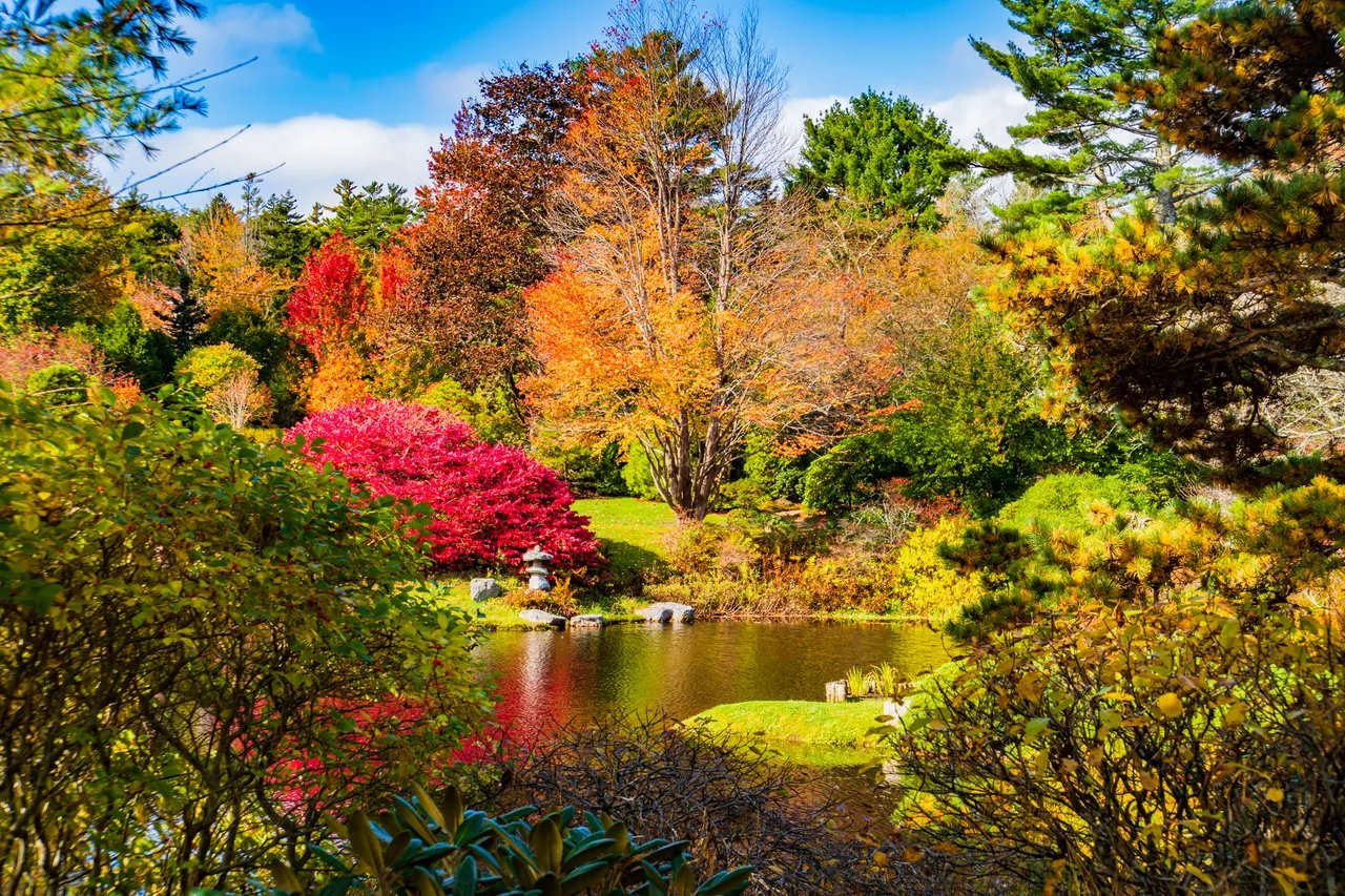 Maine Gardens and Arboretums to Visit This Spring