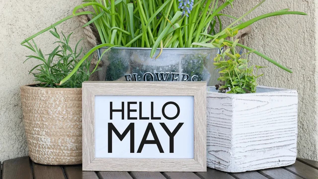 A decorative planter box with the text "Hello May" placed among other potted plants. The scene is fresh and welcoming, signifying the arrival of spring.