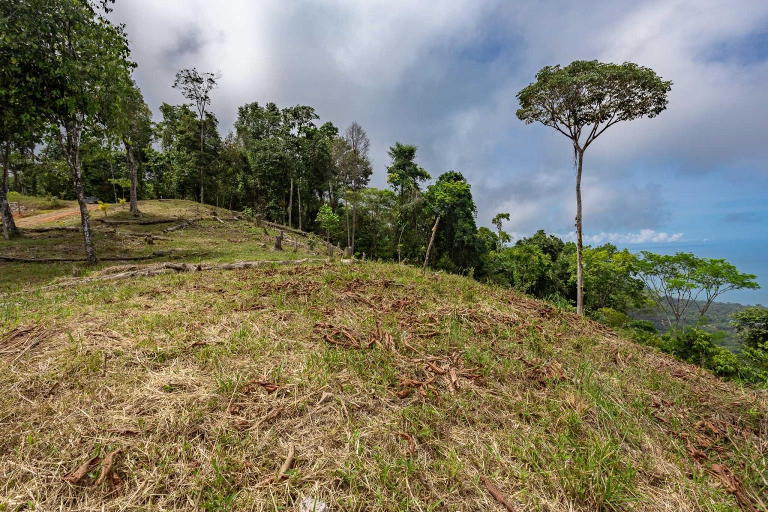 Rare Opportunity: Pristine 16-Acre Oceanview Sanctuary for Exclusive Development in Uvita