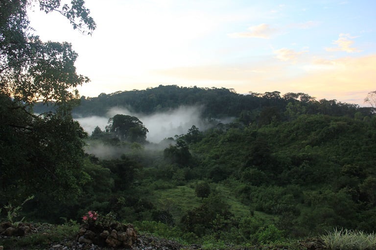 Sustainable Organic Farm, Osa, Puntarenas