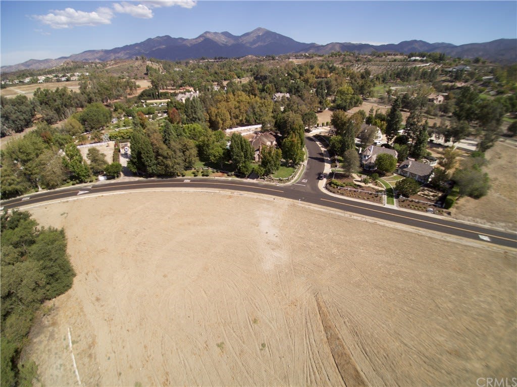 31572 TRIGO Trail
