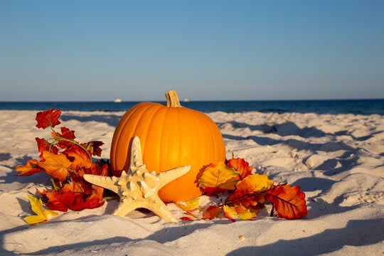 Happy Fall from True Story Realty!