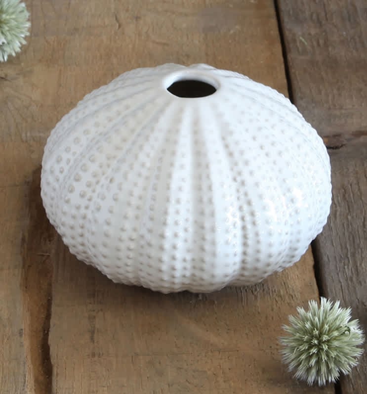 TREND ALERT: Beachy Bliss