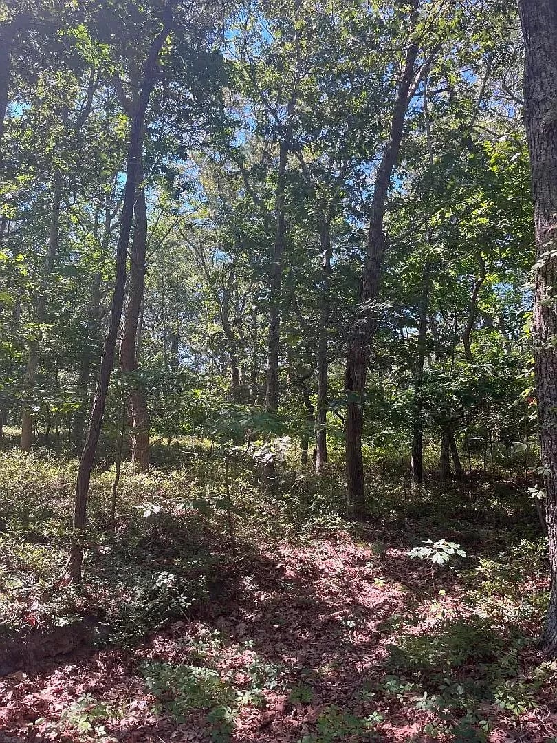 0 Crowell Ln LOT 9