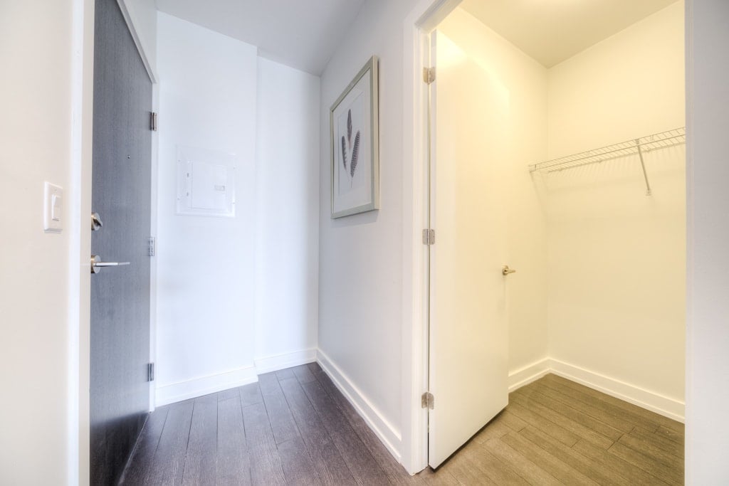 FOREST HILL TREETOP SUITE