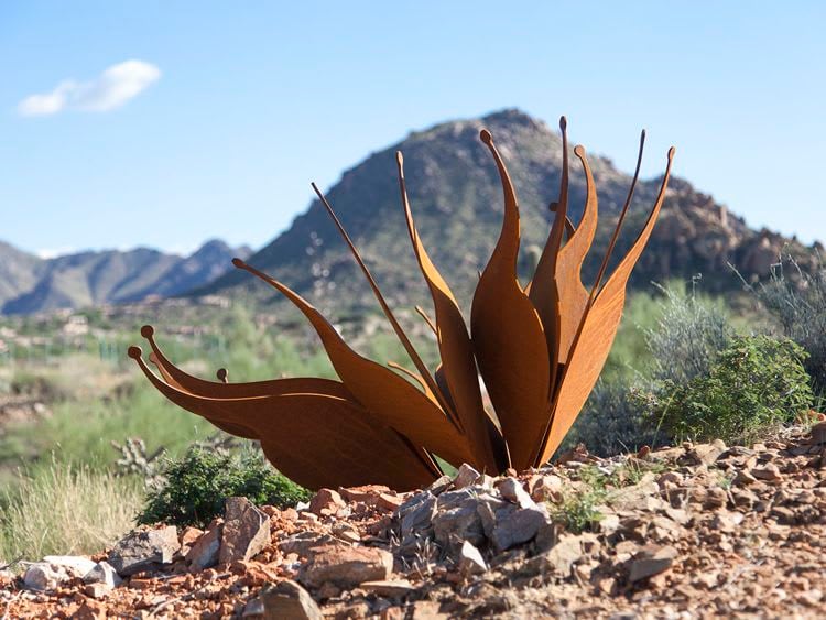 Sonoran Seed Pod Installation by Artist Jeff Zischke | Cavalliere Park in Scottsdale