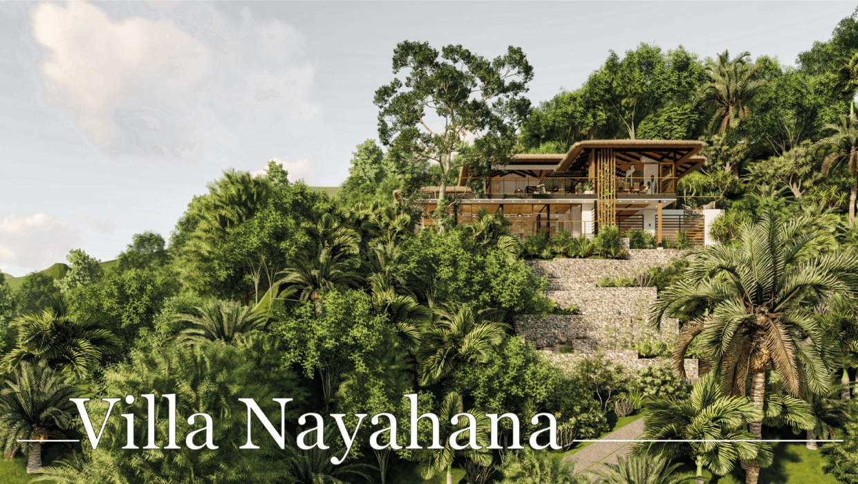 Stunning Ocean & Mountain view lot