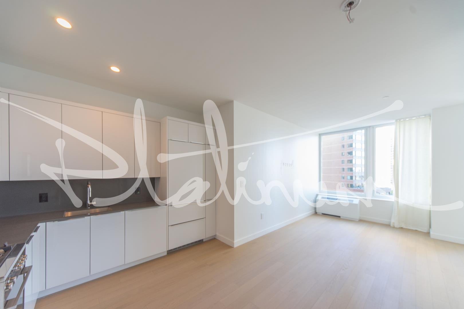 180 Water Street, Apt 1909