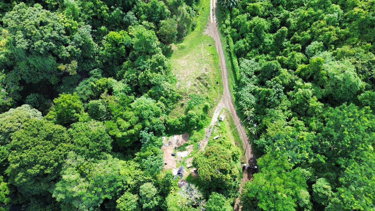 Expansive 1.74 Acre OCEAN VIEW lot w/2 large building sites