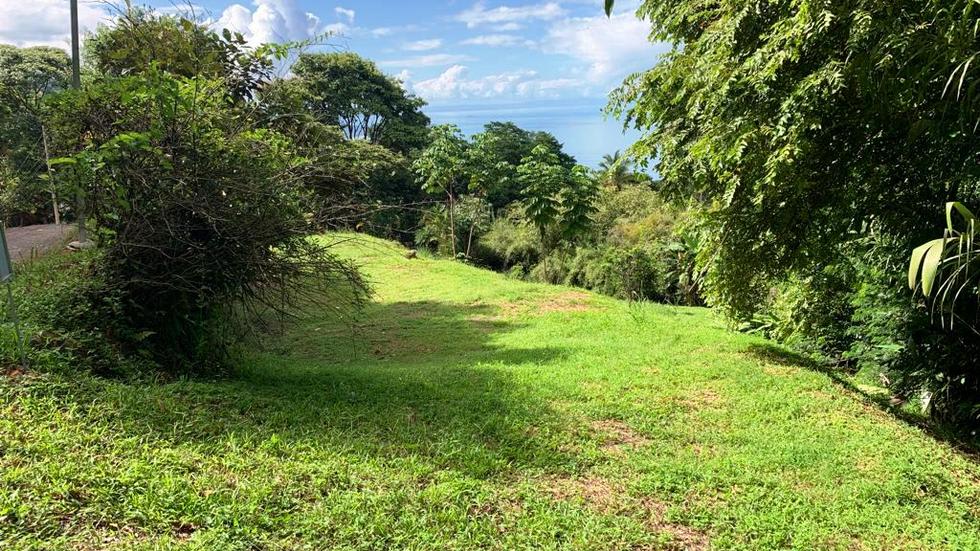 Ocean View Property with a Prime Location and Legal Water in Escaleras Dominical