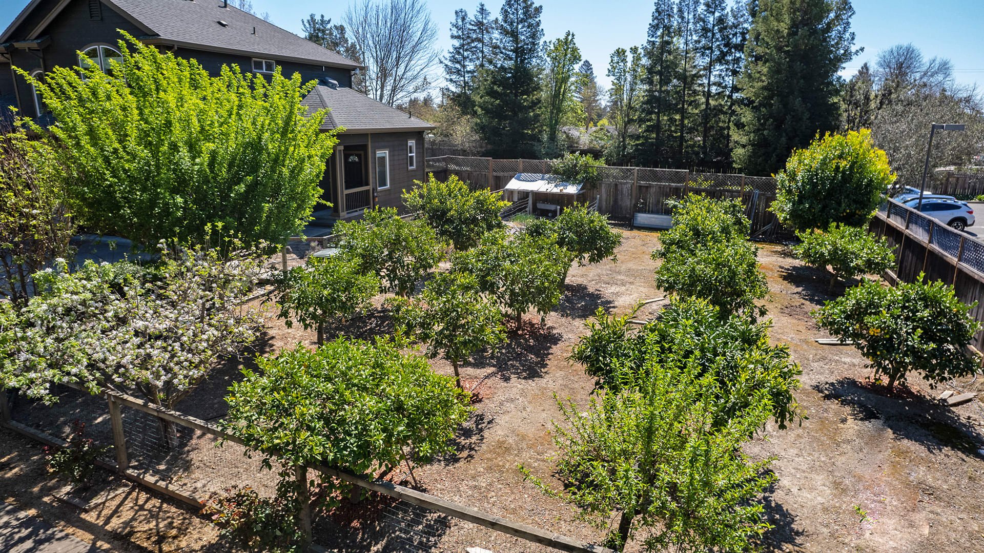 Wine Country Perfection - 1548 Healdsburg Avenue