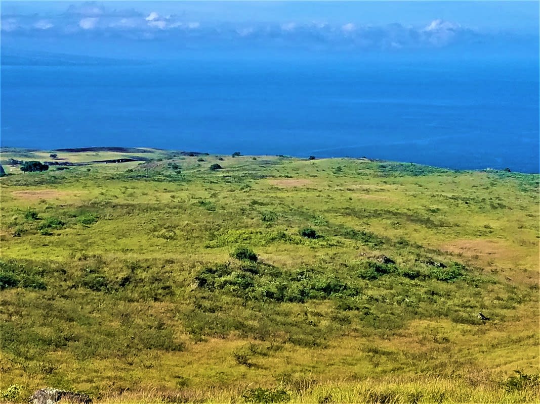 Kohala Ranch Rd Lot 149