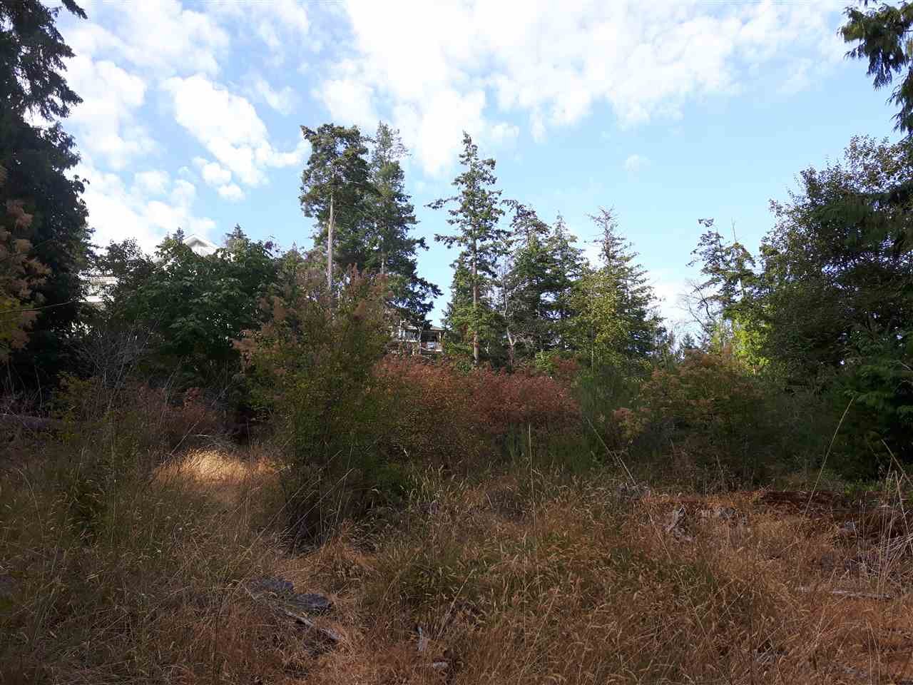 LOT 66 Packalen Blvd