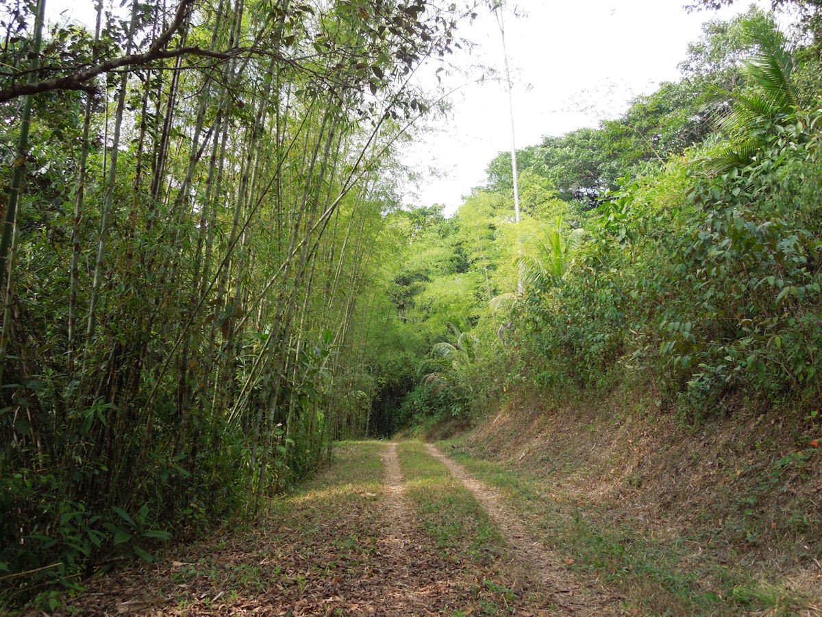 Coastal Development Acreage, Dominical, Puntarenas