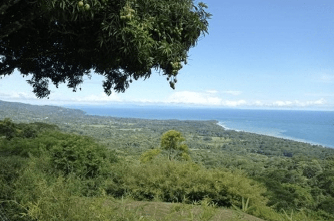 Spectacular Land with Ocean View for Sale 